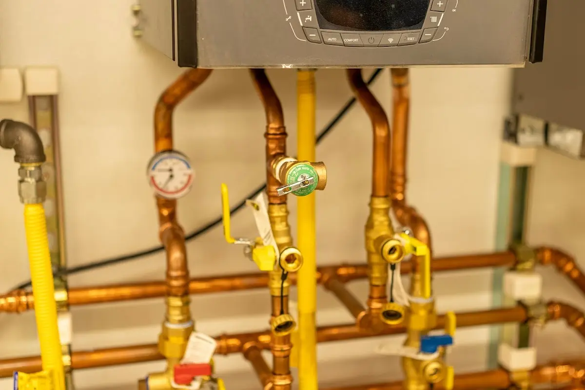 Licensed technician providing Sump Pump Repair for a homeowner in Beaufort